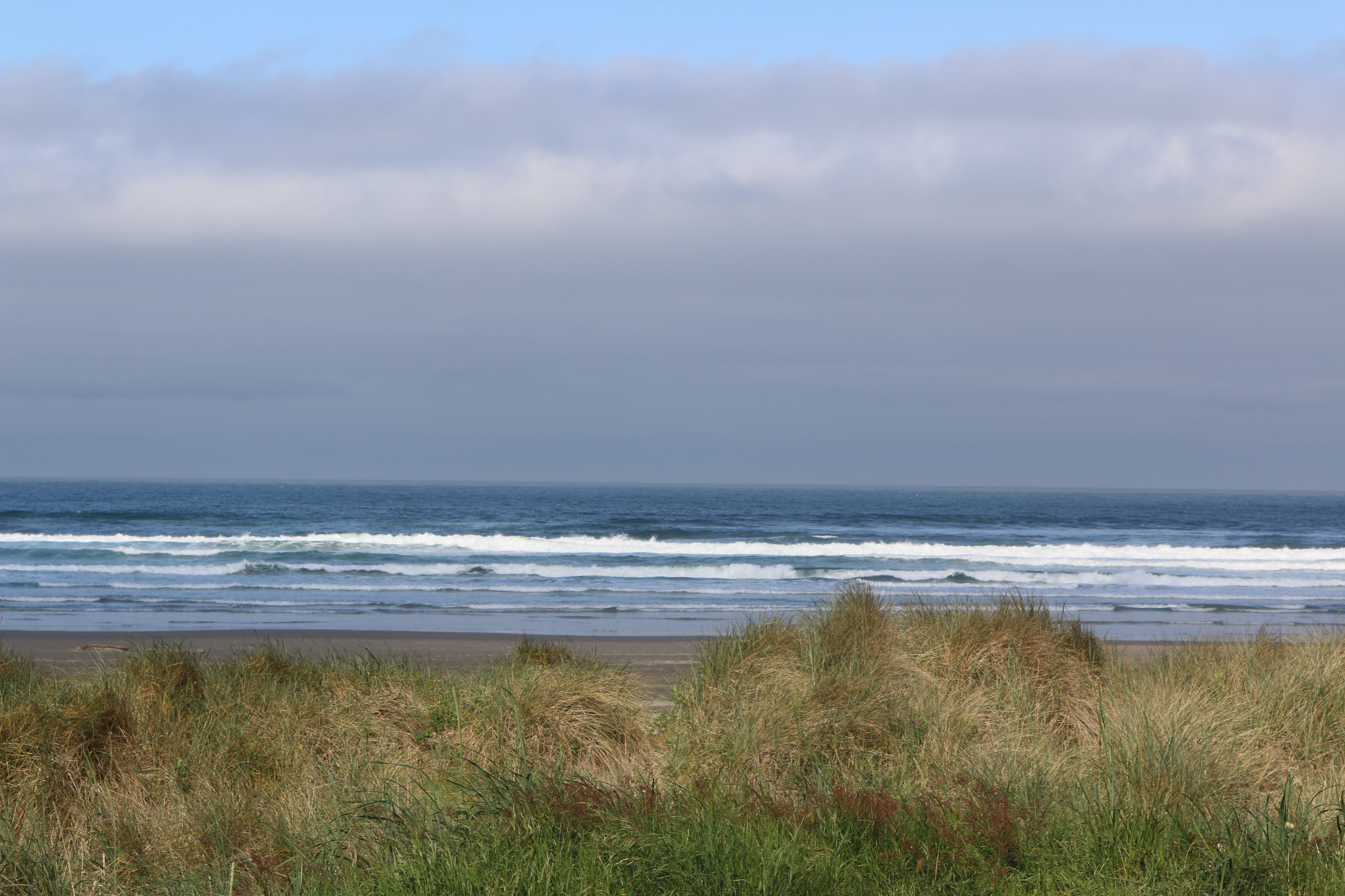 The Pacific ocean with beach grass in the foreground.