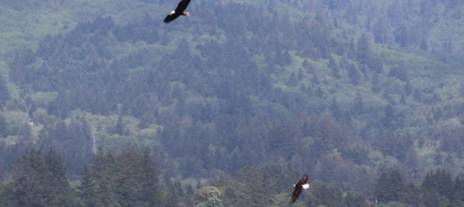 Day 2: Manzanita, OR to Pacific City, OR